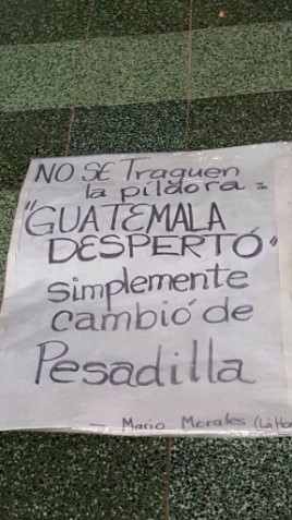 FOTO ARTICULO SALAZAR OCHOA 4