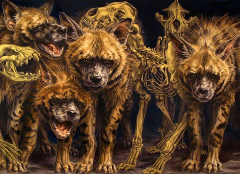 hienas