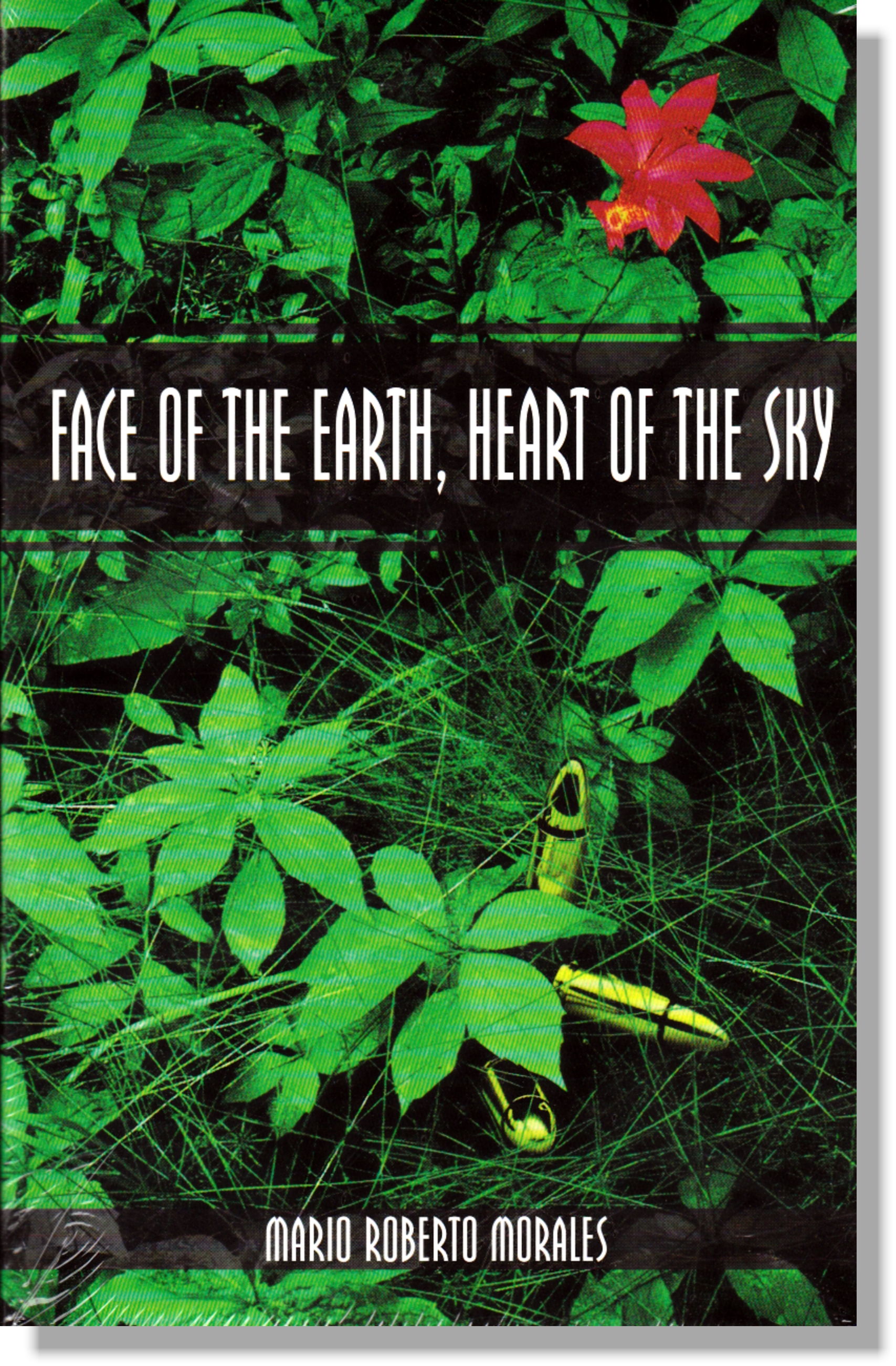 NOVELA_FACE ON THE EARTH