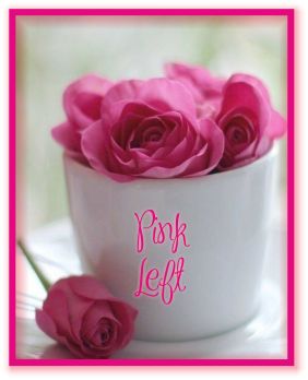 PINK LEFT