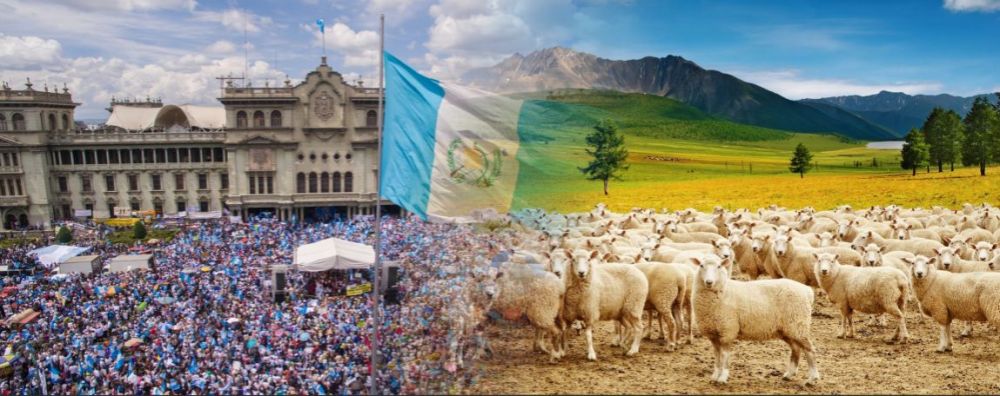 160407_PORTADA REPÚBLICA BORREGO