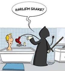 harlem sheik